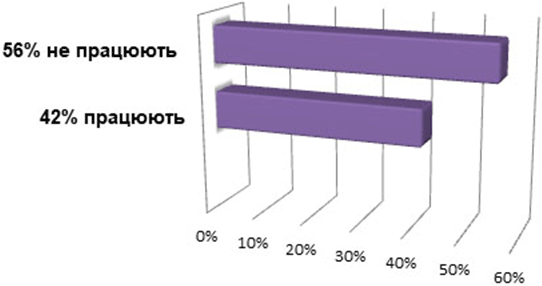 employment of IDPs